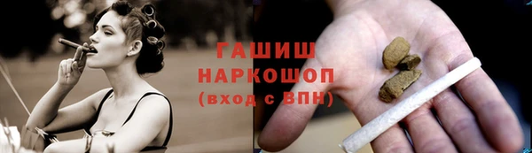 мет Алексин