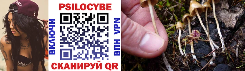 Галлюциногенные грибы Psilocybe  как найти   blacksprut ONION  Сарапул 